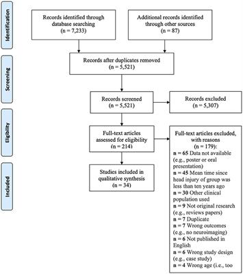 Systematic Review of the Long-Term Neuroimaging Correlates of Mild Traumatic Brain Injury and Repetitive Head Injuries